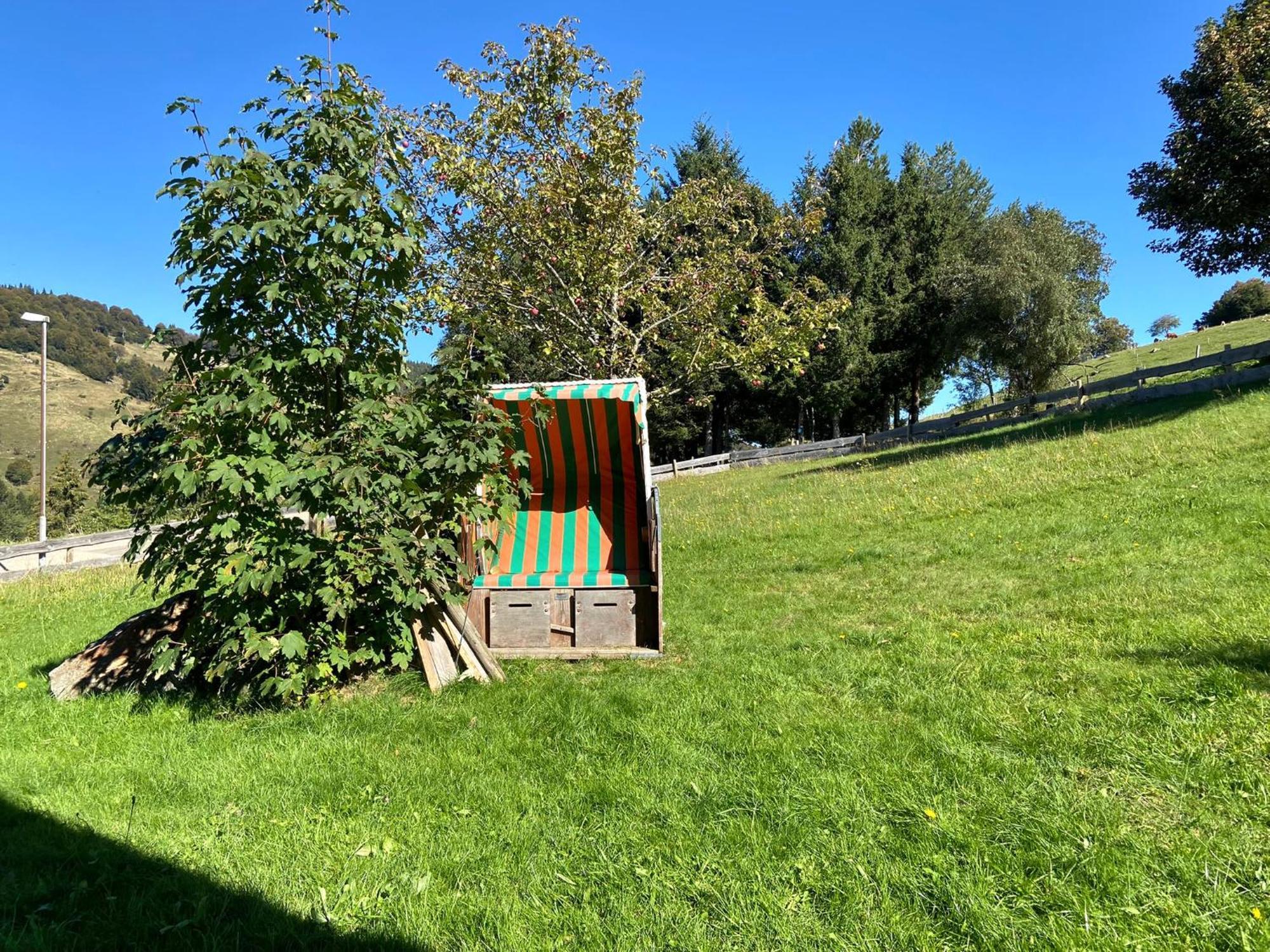 הוילה אובריאד Schwarzwaldhaus Sonnenstrasse, Oberried-Hofsgrund, Dreisamtal מראה חיצוני תמונה