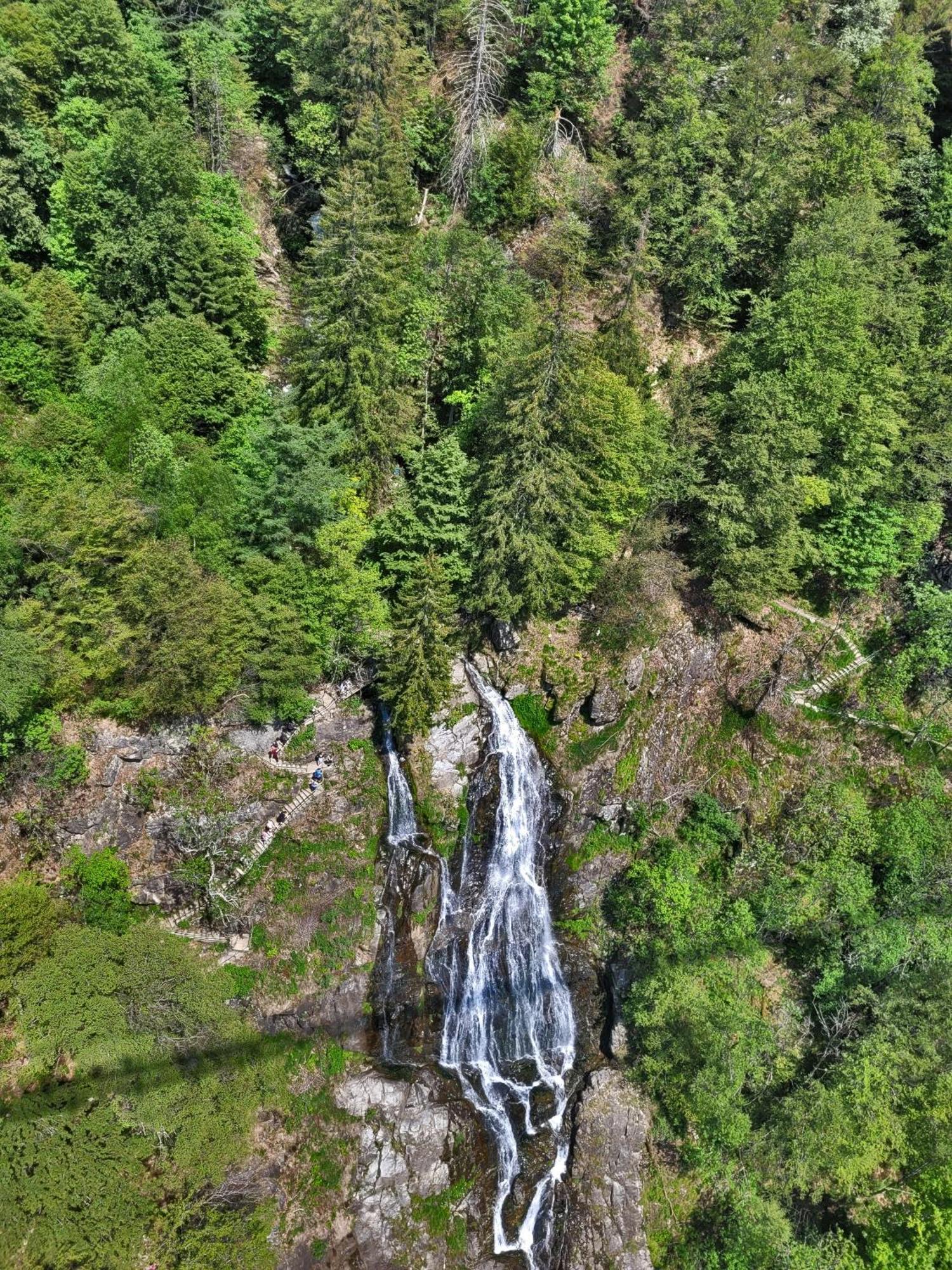 הוילה אובריאד Schwarzwaldhaus Sonnenstrasse, Oberried-Hofsgrund, Dreisamtal מראה חיצוני תמונה